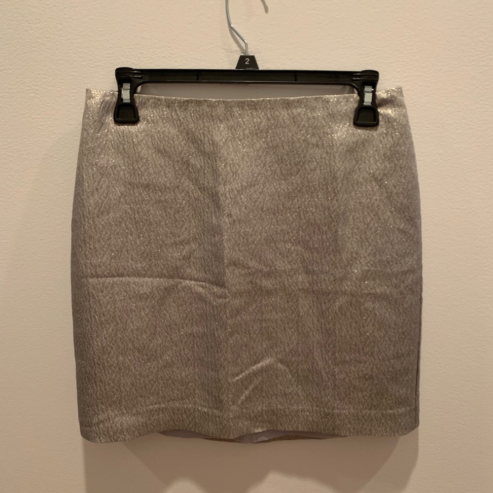 Ann Taylor Skirt